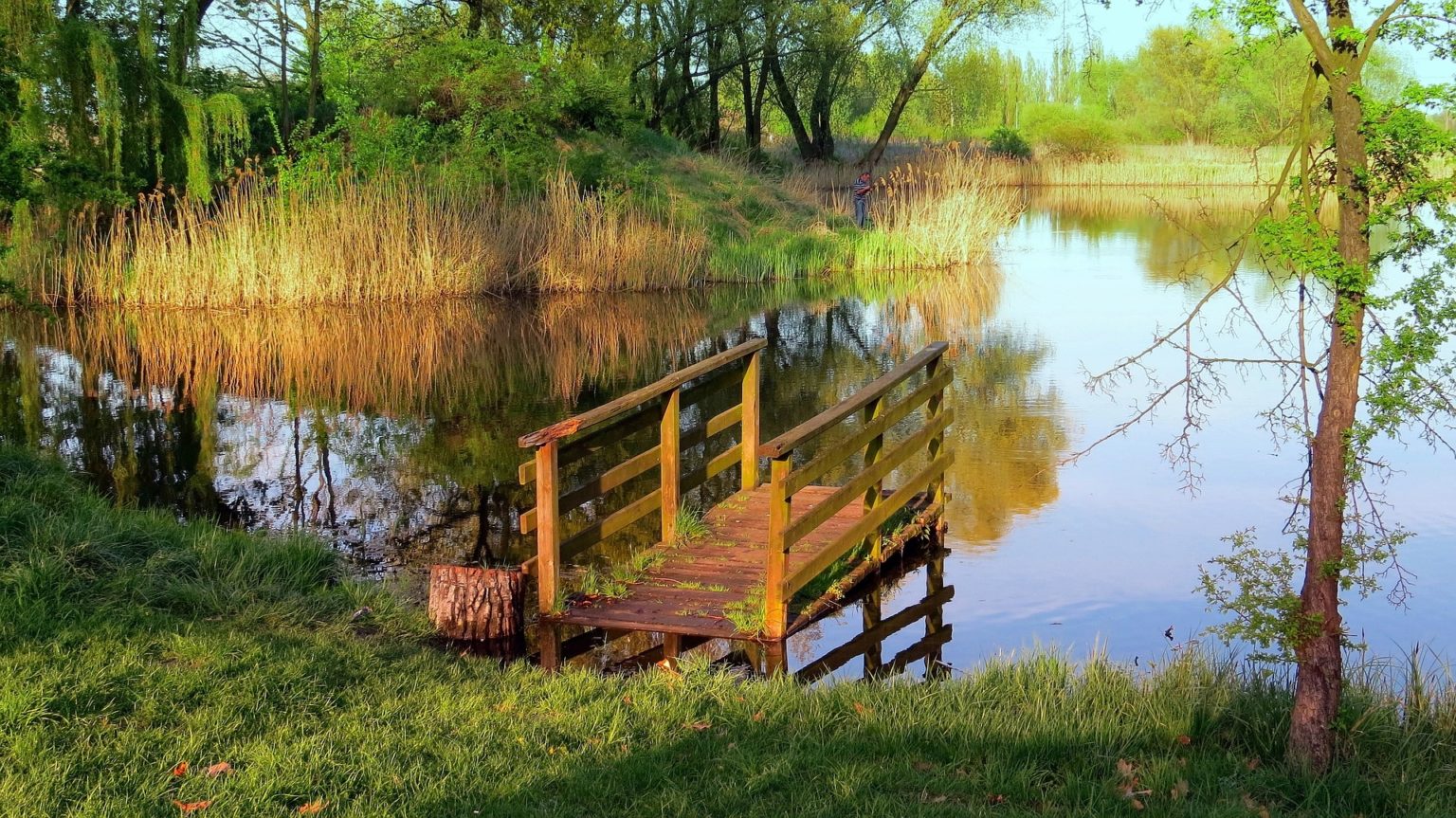 Nature Dock in Clear Lake with Green Trees Weight Hope