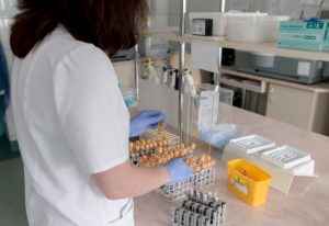 Doctor in lab testing drugs for obesity